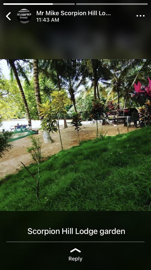 Scorpion Hill Lodge Busua エクステリア 写真