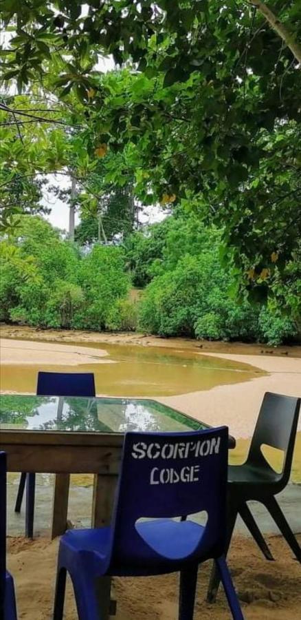 Scorpion Hill Lodge Busua エクステリア 写真