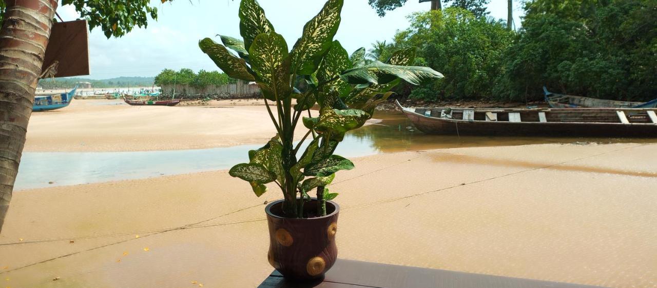 Scorpion Hill Lodge Busua 部屋 写真