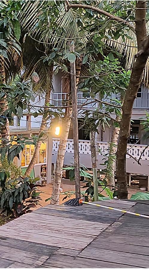 Scorpion Hill Lodge Busua エクステリア 写真
