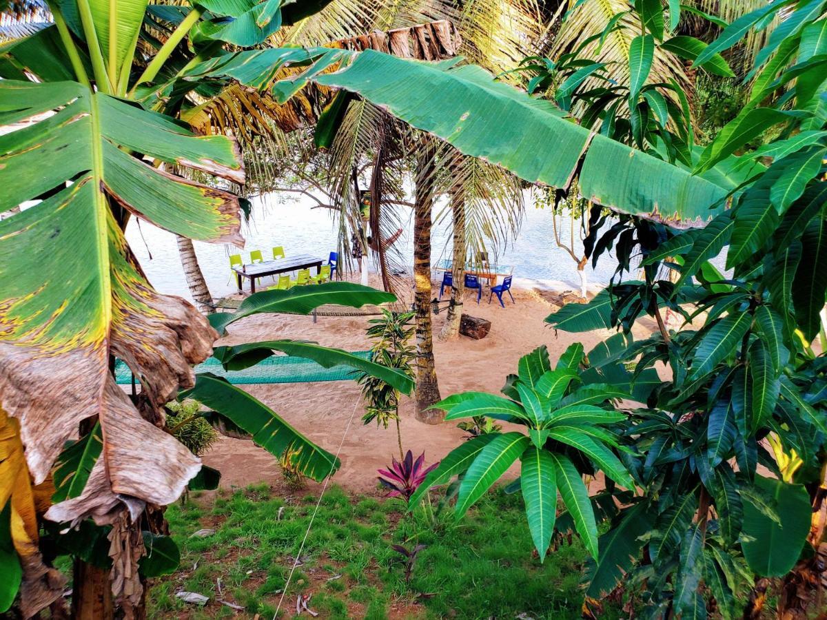 Scorpion Hill Lodge Busua エクステリア 写真