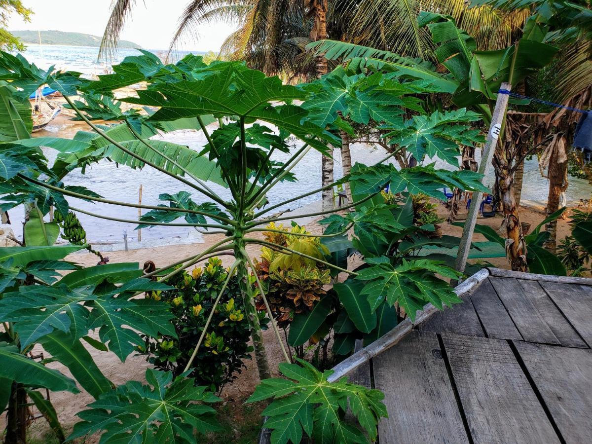 Scorpion Hill Lodge Busua エクステリア 写真